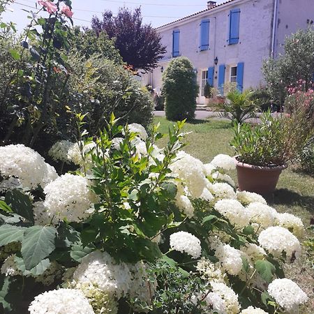 Les Hirondelles Du Paradis 6 Rue Des Oiseaux Acomodação com café da manhã Beaulieu-sur-Sonnette Exterior foto